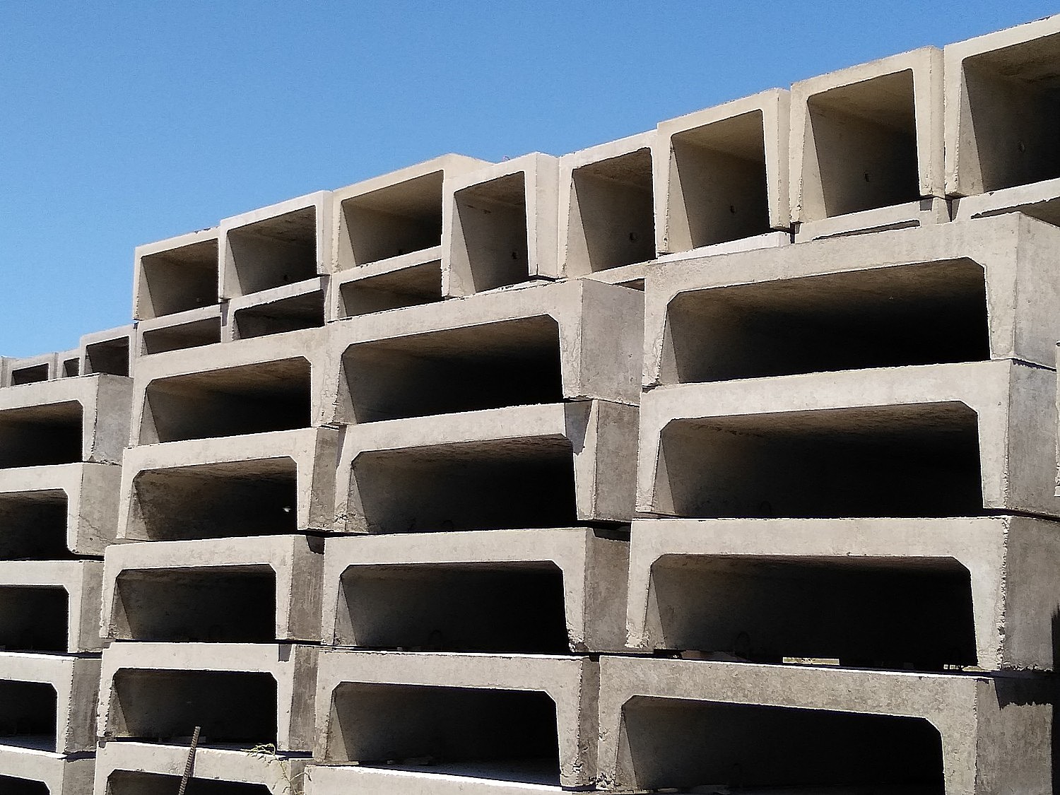 ����� ����������� �� �� ������